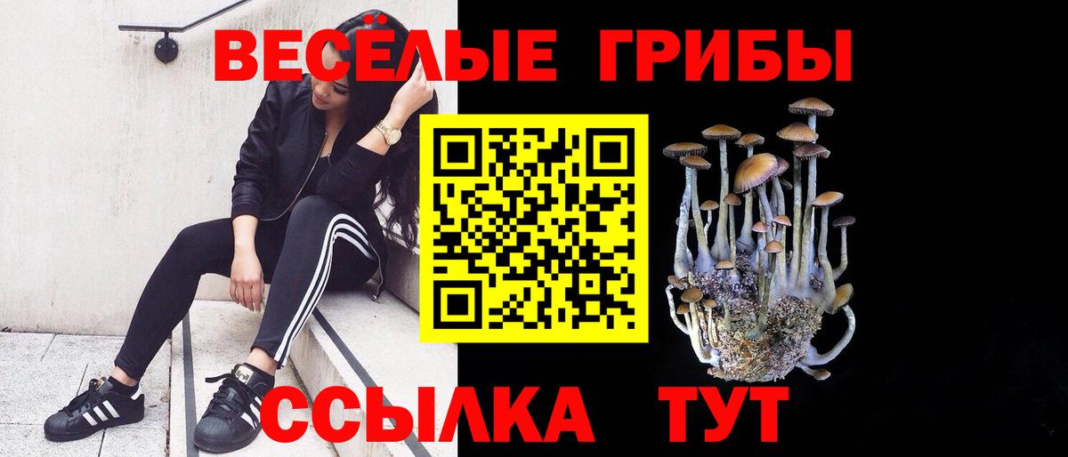 Псилоцибиновые грибы GOLDEN TEACHER Котовск